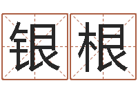 张银根姓名原-我最喜欢的经典作品