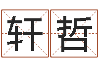 曾轩哲命名谏-王姓男孩名字命格大全