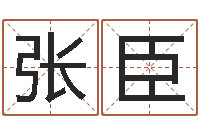 张臣星命评-免费起名测分