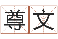 侯尊文起名芯-关于回收测名公司起名