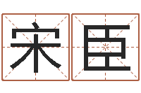 宋臣给公司取个好名字-免费给男宝宝取名字