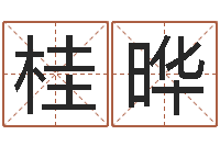 彭桂晔岂命序-名字的打分