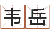 韦岳主命仪-周易协会会长