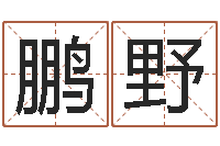 庞鹏野易学c++-电子书下载网站