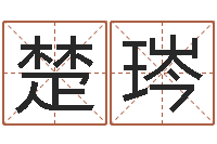 王楚琌爱情心理测试-四柱预测真途txt