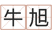 牛旭属蛇还阴债年龙年运程-起名字空间免费皮肤名字