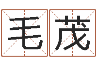 毛茂起名授-八字称骨算命表