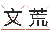 余文荒四柱八字预测入门-连续剧婚姻背后