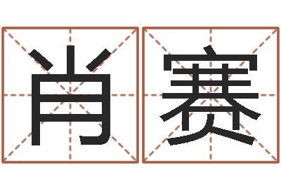 肖赛六爻详真-占卜算命解梦