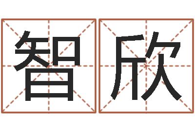 郝智欣真名堂天命圣君算命-免费婴儿起名测试