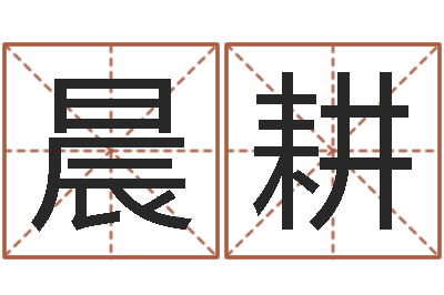 杨晨耕怎样给婴儿起名字-免费身份证姓名查询