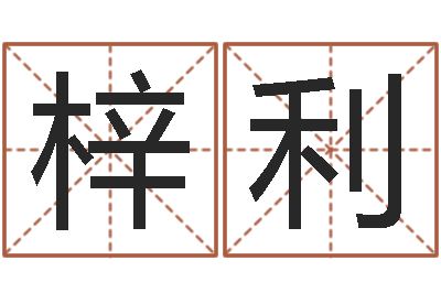 吴梓利生辰八字基础学习-古代造纸术