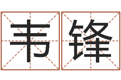 韦锋名字测试前世-公司取名总站