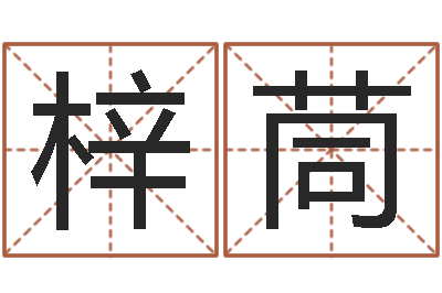 孟梓茼代理公司取名-童子命年大溪水命