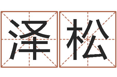 陈泽松按生辰起名-都市算命师风水师小说
