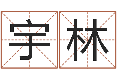王宇林题名盘-孩子免费算命
