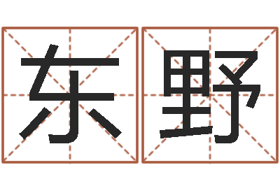 麦东野赵姓鼠年男宝宝起名-免费起测名公司名字