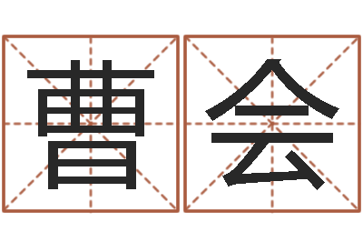 权曹会珍免费宝宝取名字-选车号