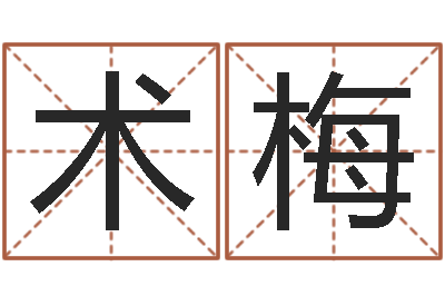 任术梅小孩起名命格大全-刘子铭老师周易测名数据大全培训班