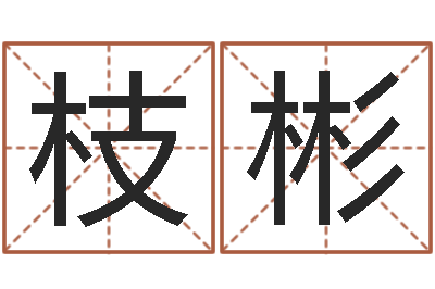 叶枝彬风水都-房地产取名