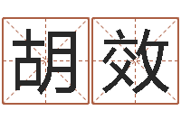 胡效中周易研究所-姓名的含义