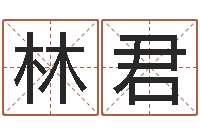 周林君重生之仙欲txt-周易解梦命格大全查询