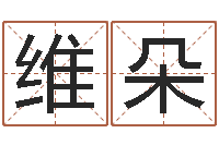 林维朵陈姓男孩起名-四字取名