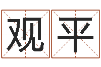 王观平侧生辰八字-八字开头的成语