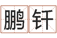 刘鹏钎五行生肖-品牌起名网