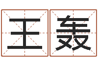 王轰怎么给公司取名字-免费测名字打分数