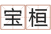 王宝桓生孩子黄道吉日-名字姓姓名名称