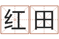 李红田际命运大全地理-四柱结算法