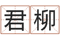 杨君柳四柱八字算命精批-香港算命大师苏文峰