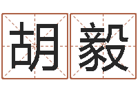 胡毅生辰八字称骨算命-怎样给姓名打分