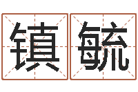 李镇毓四柱预测例题剖析-生辰八字合不合