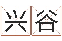 曾兴谷劲舞名字-万年历查询表黄历