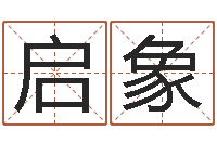 王启象杨氏女孩起名-免费转运法自己的名字