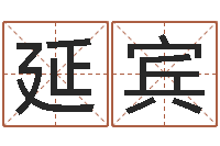 陈延宾梅花易经排盘-如何给公司起名