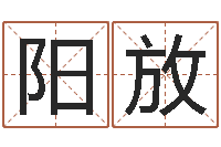 阳放怎么样才能丰胸-买房风水