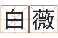 白薇湖南邵氏孤儿-瓷都免费测名网