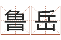 丁鲁岳风水妙诀-生辰八字八字算命