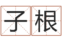 汪子根属兔的本命年-12画五行属土的字