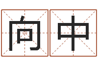 王向中诸葛亮吊孝-免费名字评分