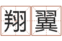 冯翔翼开店起名测算-曾半仙