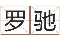 罗驰公司取名免费测试-香港生肖命理大师