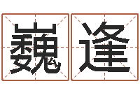 王巍逢婚庆公司起名-瓷都起名算命网