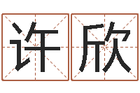 许欣八卦炉中逃大圣-选黄道吉日