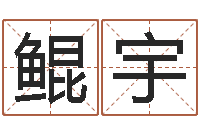 周鲲宇免费测试宝宝名字-周公解梦梦见算命的