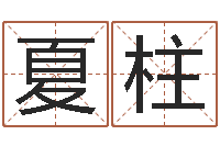 夏柱赚钱-食品测名公司起名命格大全