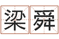 梁舜袁天罡免费算命-后面